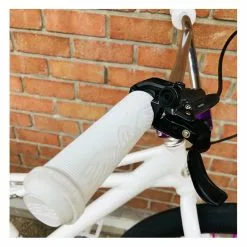 Se-bikes Custom SE BIKES Monster Quad 29+ Artic White 2022 26 Se-bikes Custom SE BIKES Monster Quad 29+ Artic White 2022 -Velo Pour Aventure custom se bikes monster quad 29 artic white 2022 10