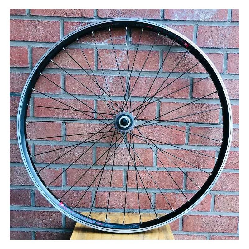 Roue Arrière Custom Bikelife 29 Pouces Noire - Wheeling Bike 3 Roue Arrière Custom Bikelife 29 Pouces Noire - Wheeling Bike