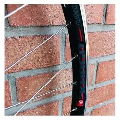 BIKELIFE Roue Arrière Custom SeBike 29 Pouces 10v - Wheeling Bike -Velo Pour Aventure roue arriere custom sebike 29 pouces 10v wheeling bike 4